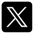 x icon